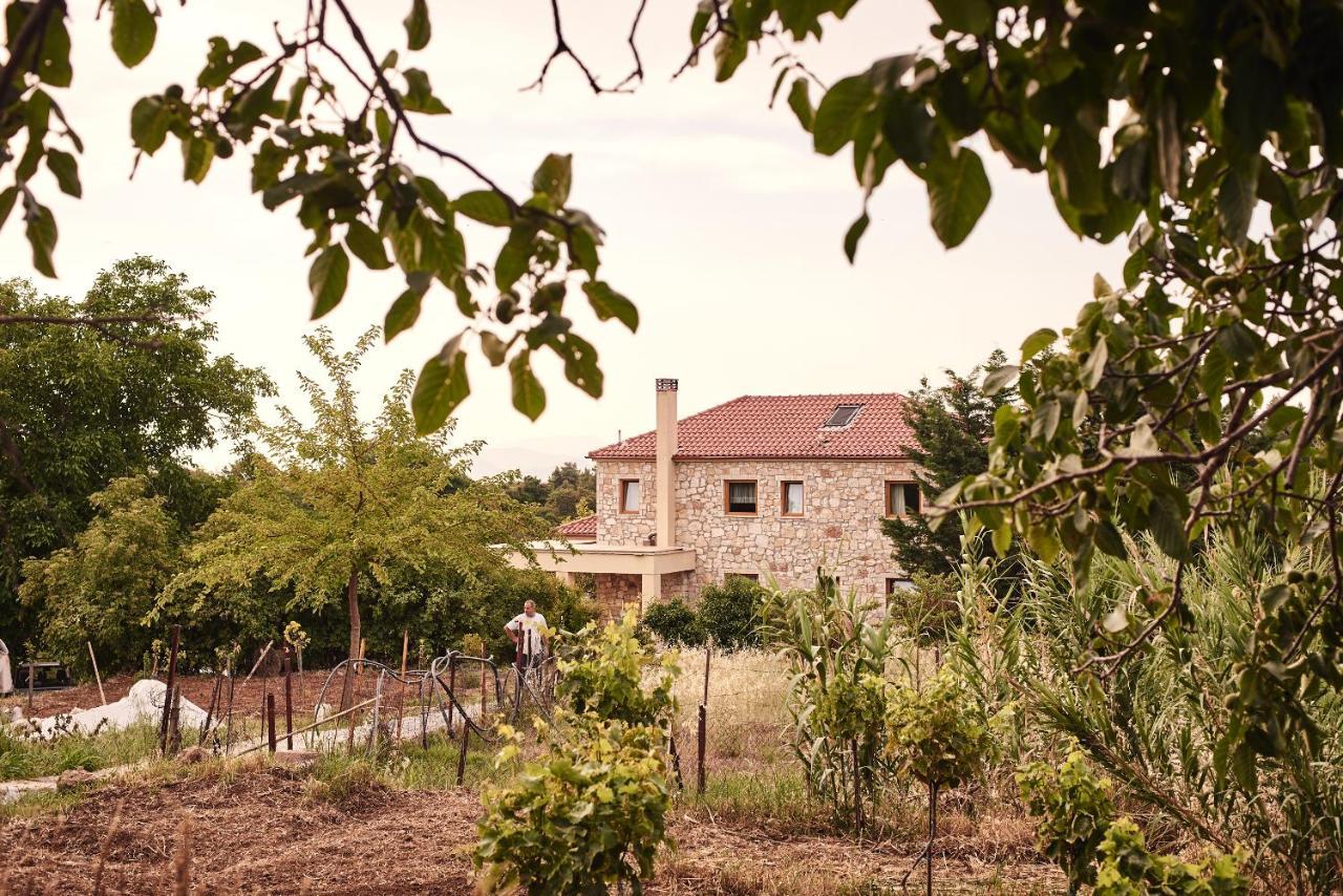 Elisson Hostel Krioneri  Exterior photo